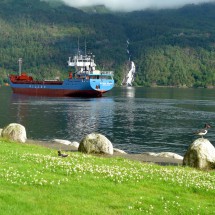 View from our campground in Sauda